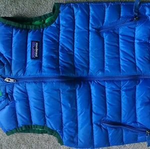 Down sweater patagonia vest